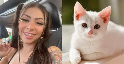 mc pipoquinha zoofilia|MC Pipokinha é denunciada por zoofilia após vídeo com gatos